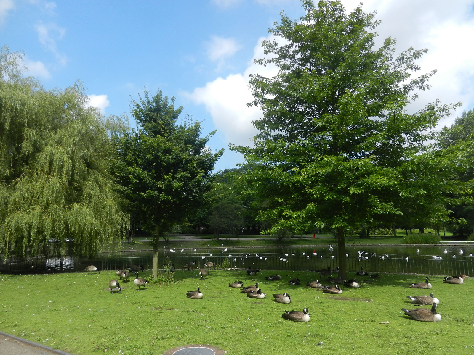 Newcastle-under-Lyme
